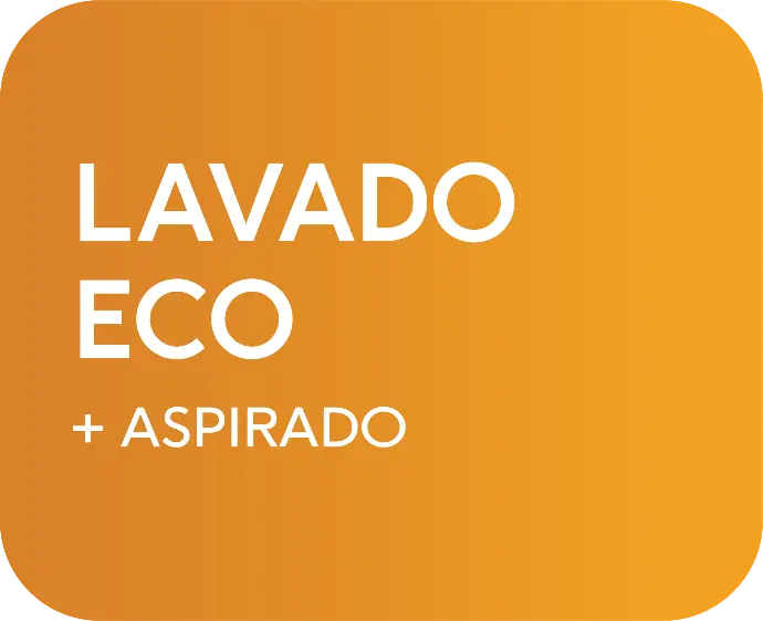 - Lavado Eco + Aspirado