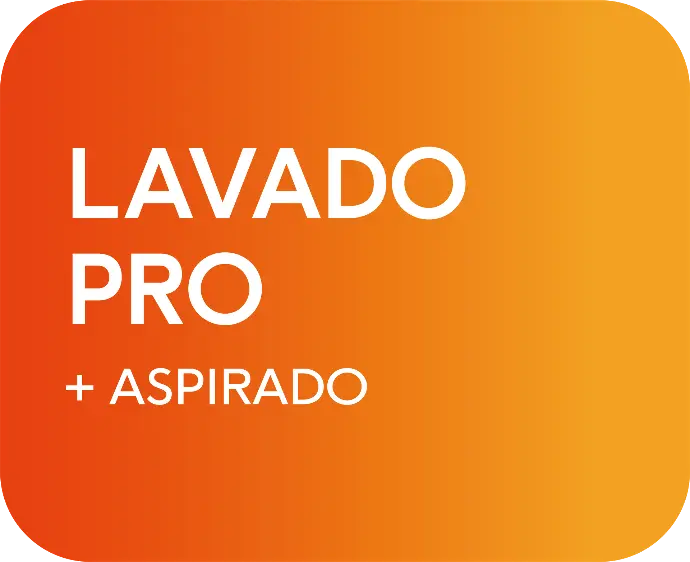 - Lavado Pro + Aspirado