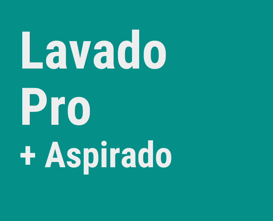 - Lavado Pro + Aspirado