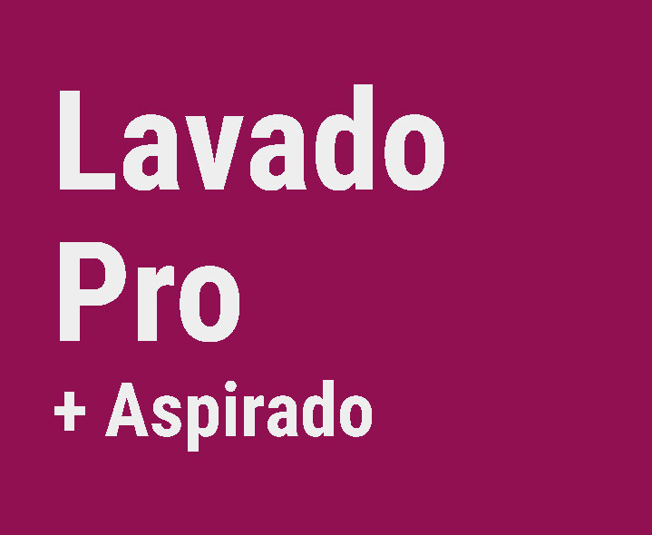 Lavado Pro + Aspirado
